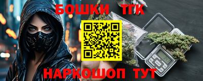 индика Гусь-Хрустальный