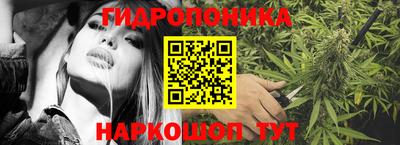 индика Гусь-Хрустальный