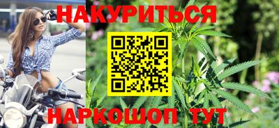 индика Гусь-Хрустальный