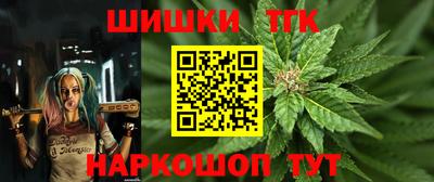 индика Гусь-Хрустальный