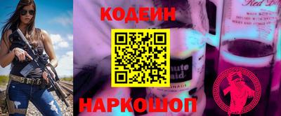 индика Гусь-Хрустальный
